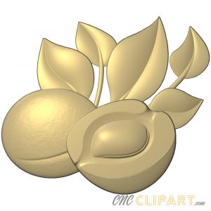 A 3D Relief Model of an Apricot cut in half with leaves