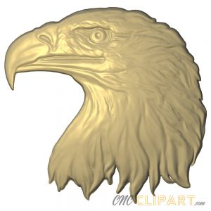 3D relief model of a bald eagle head
