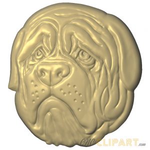 A 3D relief model of an English Bulldog face