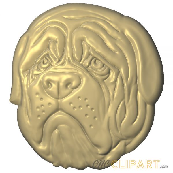 A 3D relief model of an English Bulldog face