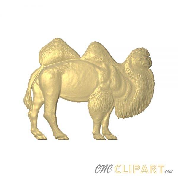 A 3D relief model of a Camel in profile