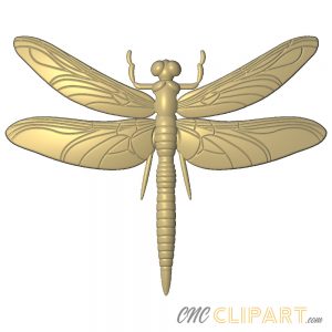 A 3d Relief Model of a Dragonfly