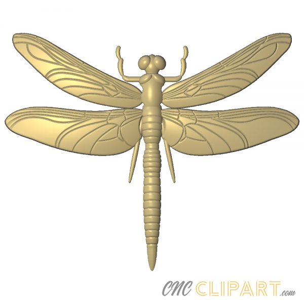 A 3d Relief Model of a Dragonfly