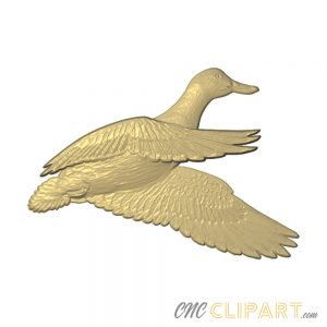 A 3D Relief Model of a Duck Flying