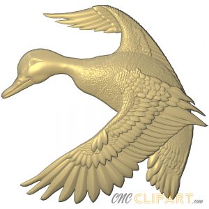 A 3D Relief model of a duck in flight