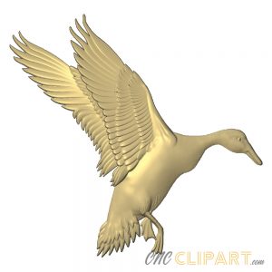 A 3D Relief model of a duck in flight