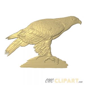A 3D relief model of a perched Eagle