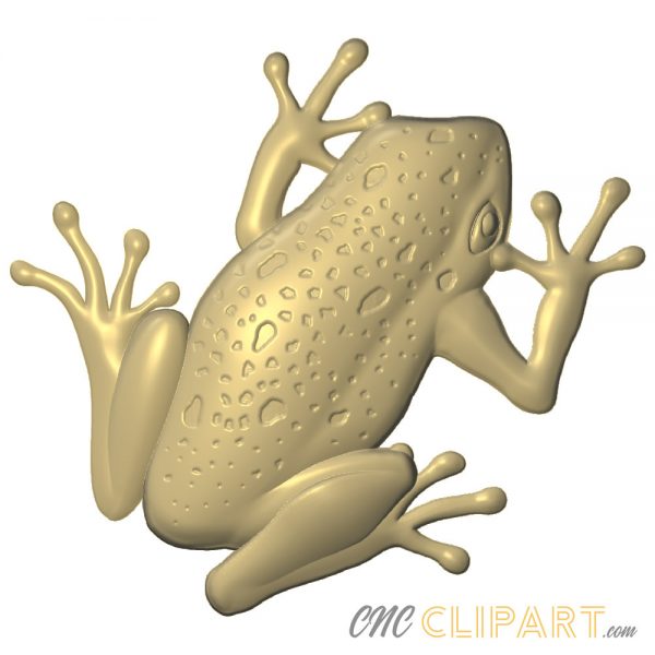A 3D relief model of Frog