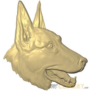 A 3D relief model of German Shepherds head
