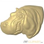 Hippo Head Profile