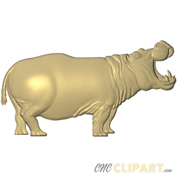 A 3D relief model of a Hippo