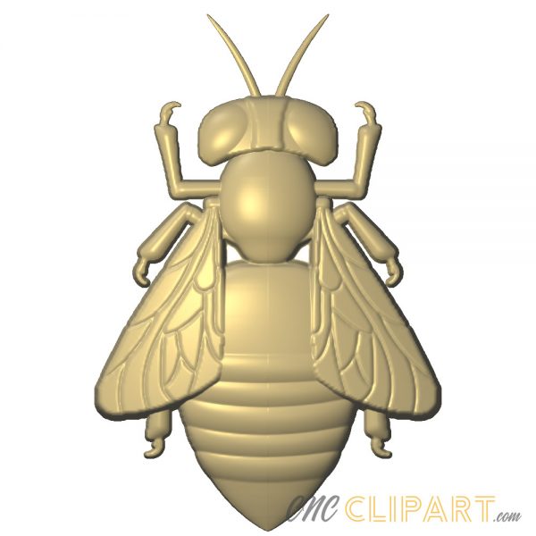 A 3D relief model of a Honey Bee