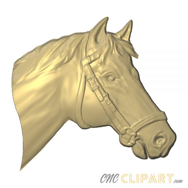 A 3d relief model of a horse head