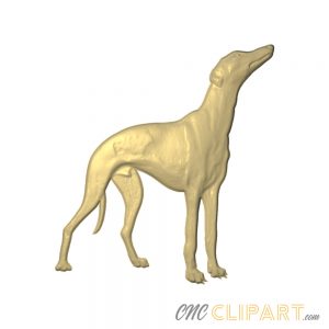 A 3D relief model of an Italian Greyhound
