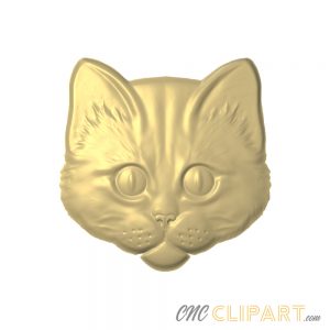 A 3D relief model of a Kitten's face