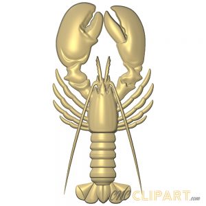 A 3D relief model of a Lobster