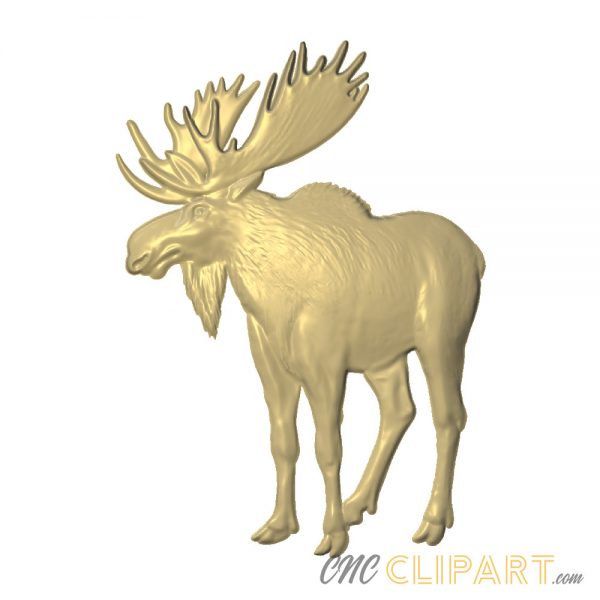 A 3D relief model of a Moose.