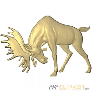 A 3D relief model of a Moose, preparing to charge