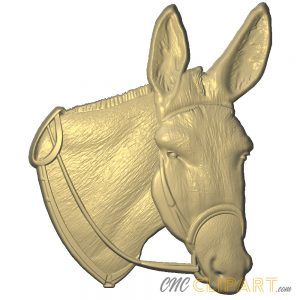 A 3D relief model of a Mules Head