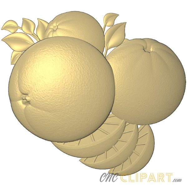 A 3D Relief Model of some Oranges