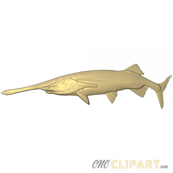 A 3D relief model of a Paddlefish