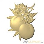 A 3D Relief Model of some Peaches