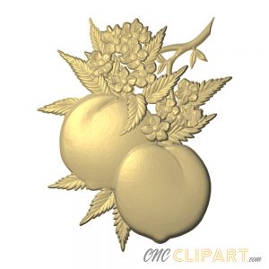 A 3D Relief Model of some Peaches