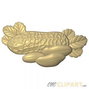 A 3D Relief Model of some Peanuts