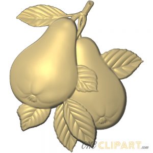 A 3D Relief Model of some Pears hanging from a tree branch