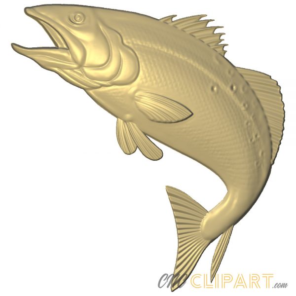 A 3D Relief Model of a Perch fish