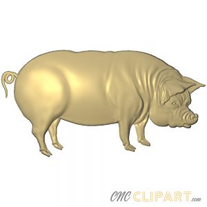 A 3D Relief Model of a Pig, viewed in profile