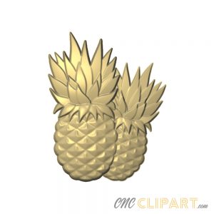 A 3D Relief Model of two Pineapples