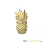 A 3D Relief Model of a Pineapple