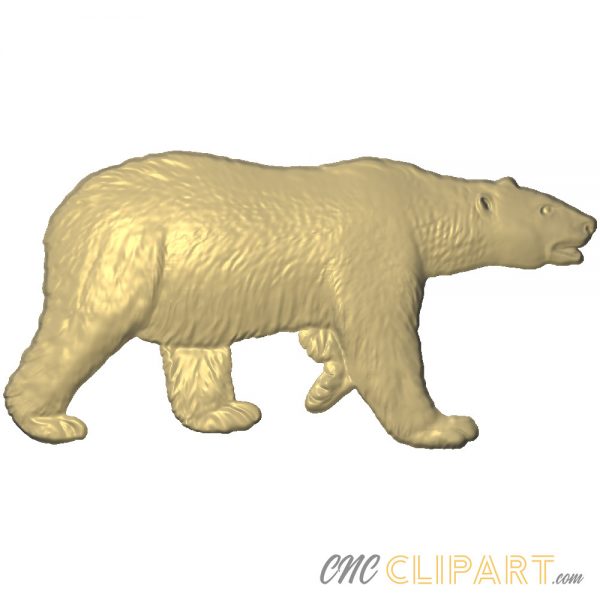 A 3D Relief Model of a Polar Bear