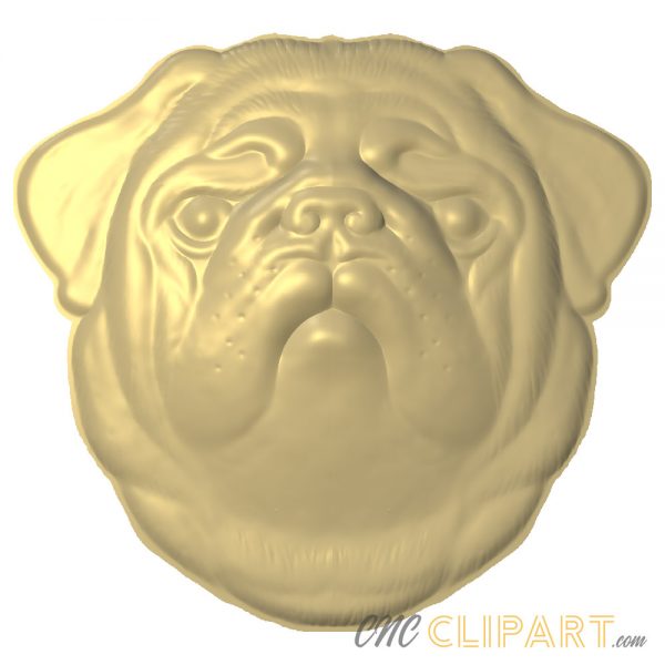 A 3D Relief Model of a Pug's head