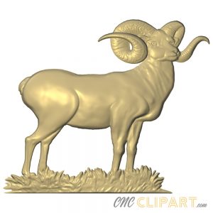 A 3D Relief Model of a Ram