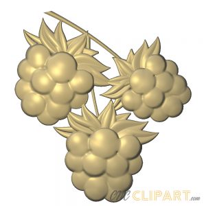 A 3D Relief Model of some Raspberries