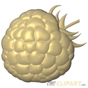 A 3D Relief Model of a Raspberry