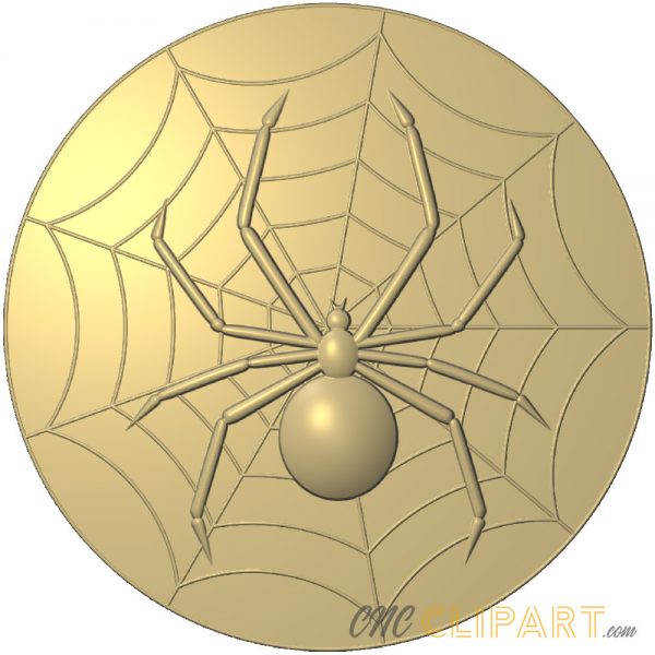 A 3D Relief model of a Spider in a web. 