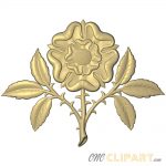 A 3D Relief Model of a Tudor Rose