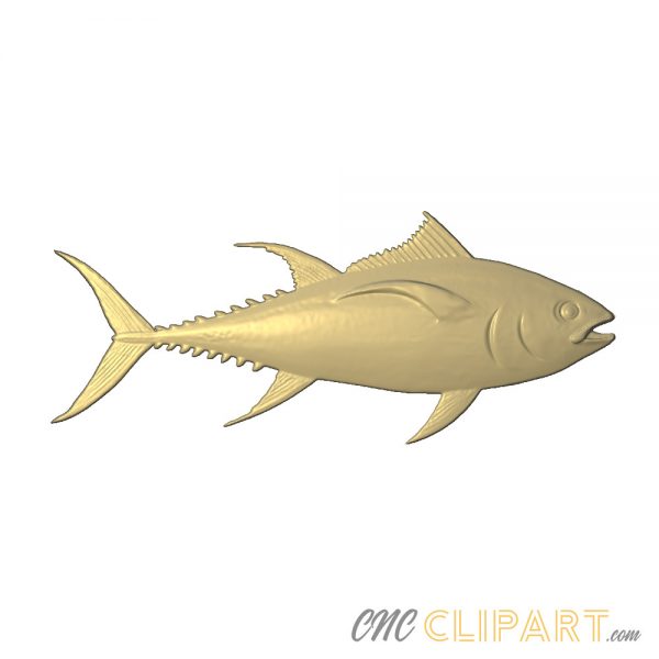 A 3D Relief Model of a Tuna Fish