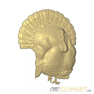 A 3D Relief Model of a Turkey