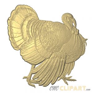A 3D Relief Model of a Turkey