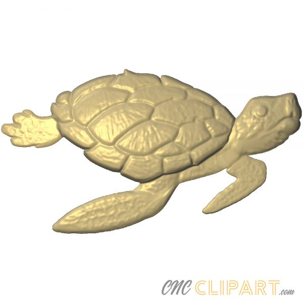 A 3D Relief Model of a Turtle