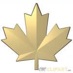 A 3D Relief Model depicting a Canadian Maple Leaf