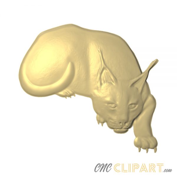 A 3D relief model of a Caracal wild Cat