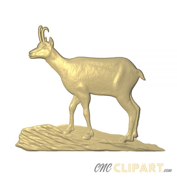 A 3D Relief Model of a Chamois Goat-Antelope