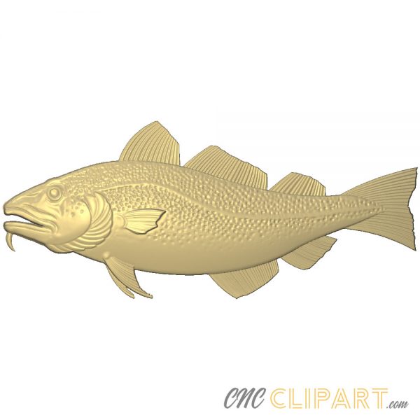A 3D Relief Model of a Cod