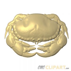 A 3D Relief Model of a Crab