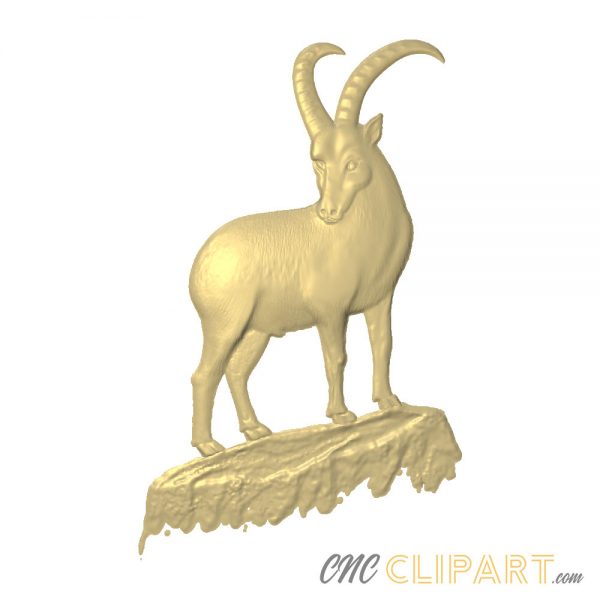 A 3D Relief model of an Ibex mountain Goat, standing on a patch of Rock